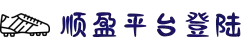 顺盈娱乐-一家专注的游戏平台